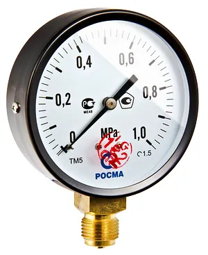 Манометр TM-510P Ду 100 с нижним подключением (150°) 1/2", 0-6 бар (кл. точн. 1,5)