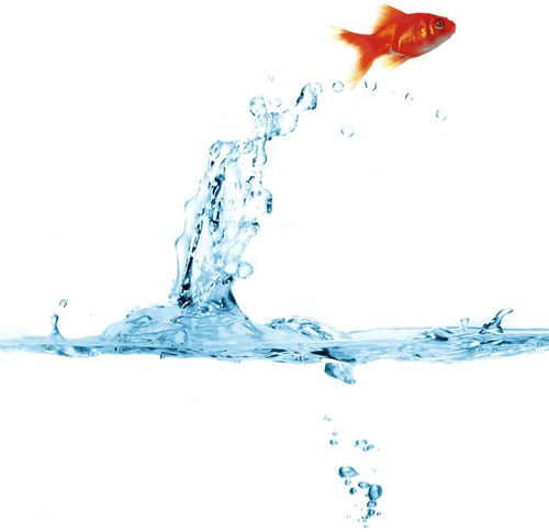 Шторка д/в тканевая MZ-45 "Золотая рыбка" 180х200см