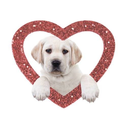 Шторка д/в тканевая MZ-132 "Любимый щенок" 180х200см