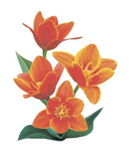 Шторка д/в тканевая MZ-144 "Оранжевое настроение" 180х200см