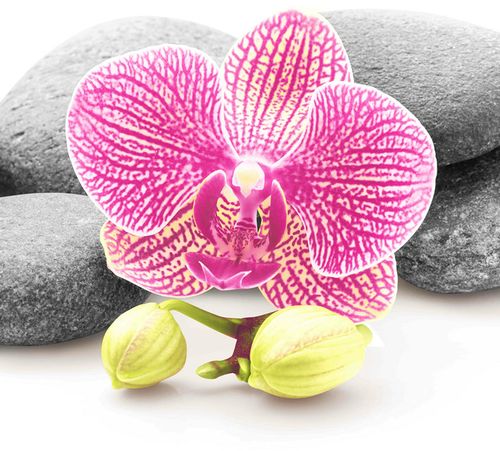 Шторка д/в тканевая MZ-75 "Мудрость" 180х200см